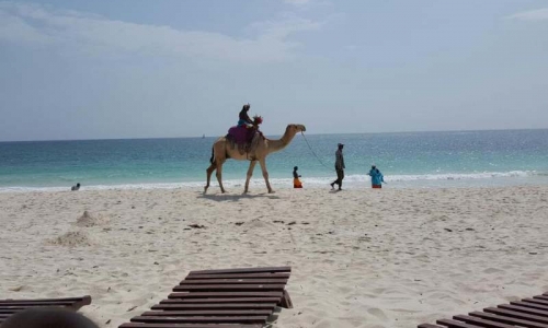 Southern Palms Beach Resort, karpaten.md