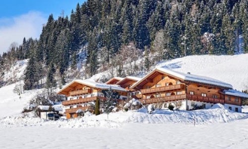 Aparthotel Alpin Apart, karpaten.md