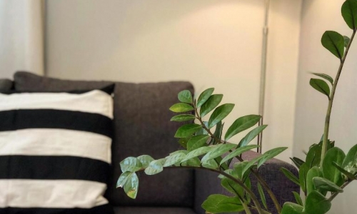 Helianthus Apartments, karpaten.md, 2