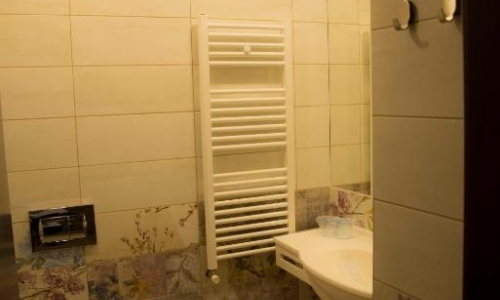 Hotel Olanesti Spa Medical, karpaten.md, 2