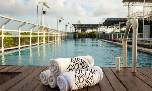 Hotel Reina Roja, karpaten.md, 2