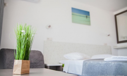 Hotel Carmen, karpaten.md, 2