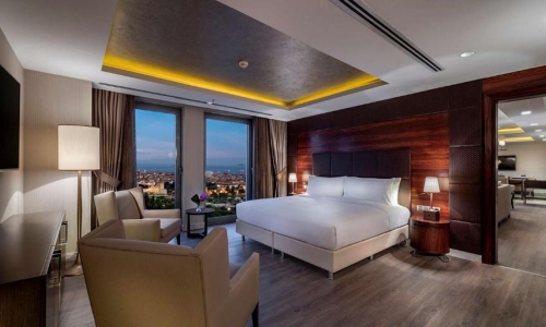 Hotel DoubleTree by Hilton Istanbul Topkapi, karpaten.md, 2