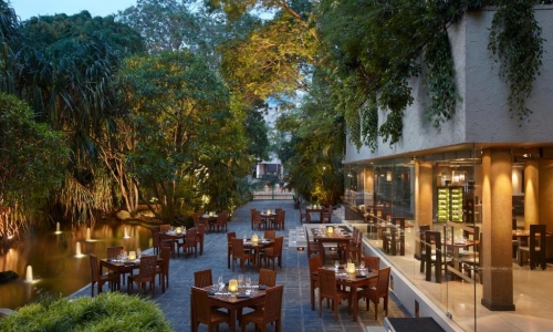 Cinnamon Grand, karpaten.md, 2