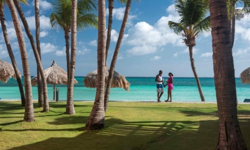Divi Dutch Village Beach Resort, karpaten.md, 2