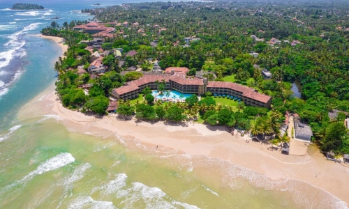The Palms, karpaten.md, 2