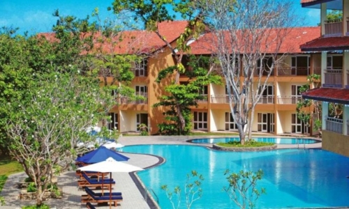 The Palms, karpaten.md