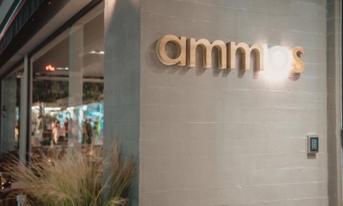 Ammos Beach Seaside Luxury Suites Hotel, karpaten.md