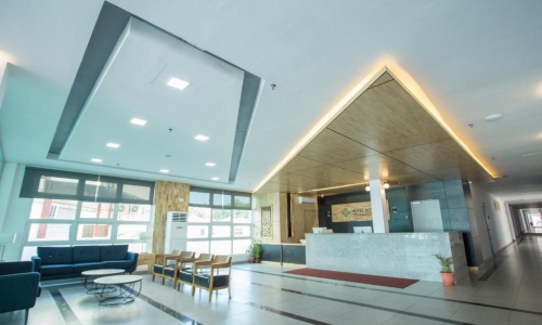 Adya Hotel Chenang, karpaten.md