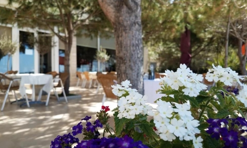 Hotel Edart, karpaten.md, 2