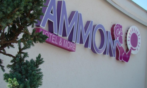Hotel Ammon, karpaten.md, 2