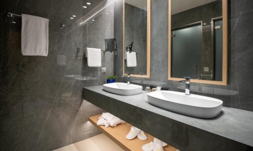 Hotel & Spa Ammoa Luxury Resort, karpaten.md, 2