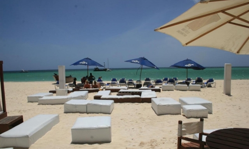 Bavaro Green, karpaten.md, 2