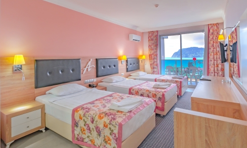 Hotel Ananas, karpaten.md, 2