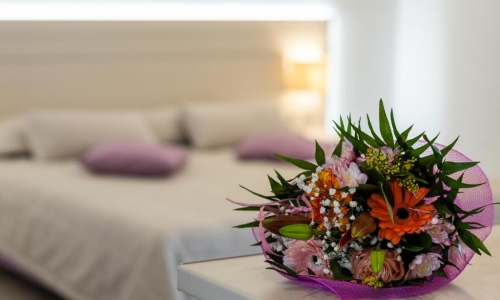 Terinikos Sunny Garden Hotel & Junior Suites, karpaten.md, 2