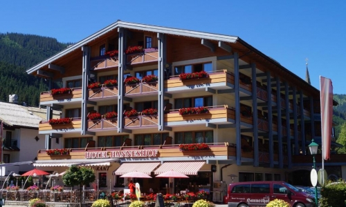 Hotel Hanneshof, karpaten.md, 2