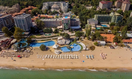 Lilia, karpaten.md