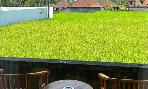 Kubu Bali Baik Villa & Resort, karpaten.md