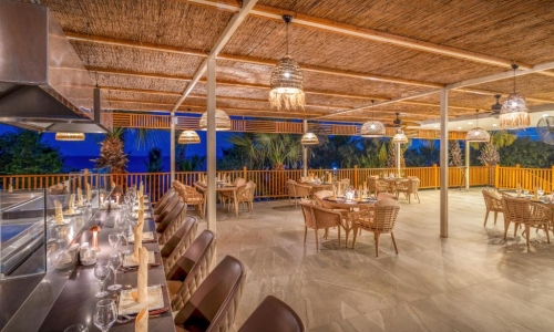 Hotel Delphin Palace, karpaten.md, 2