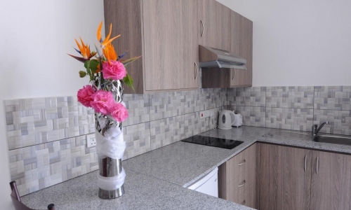Cosmelenia Hotel Apartments, karpaten.md, 2