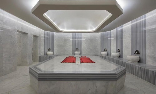 Aydinbey Queen's Palace & Spa Resort, karpaten.md, 2